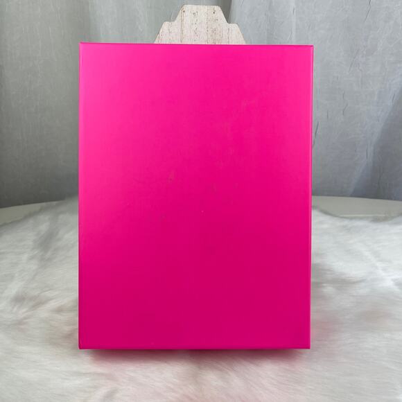 Victoria’s Secret PINK Gift Display Decor Storage Box Silver Holographic Logo - Picture 3 of 16